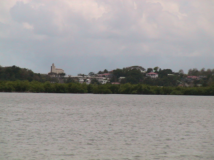 25 - Mangrove 068.jpg